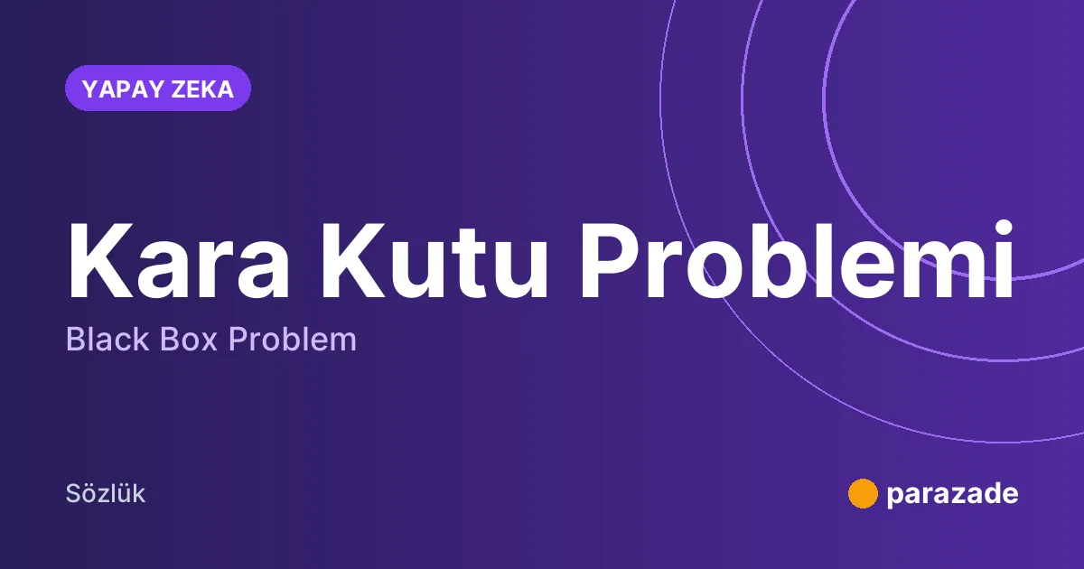 Kara Kutu Problemi nedir?