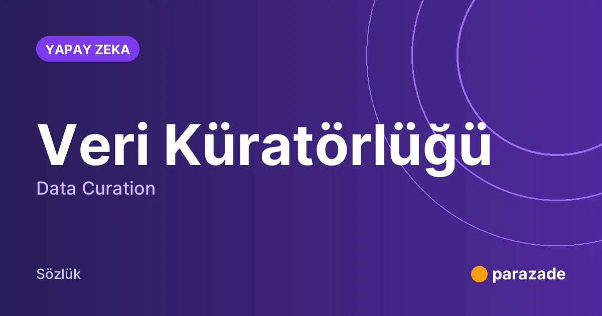 Veri Küratörlüğü nedir?