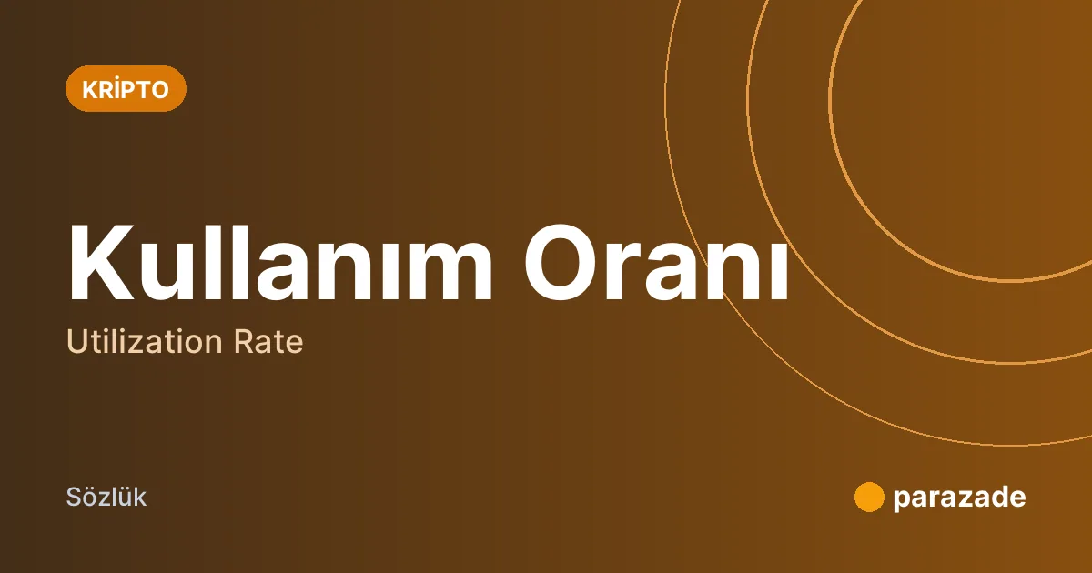 Kullanım Oranı nedir?