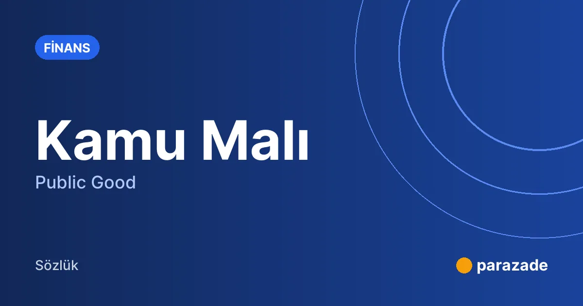 Kamu Malı nedir?