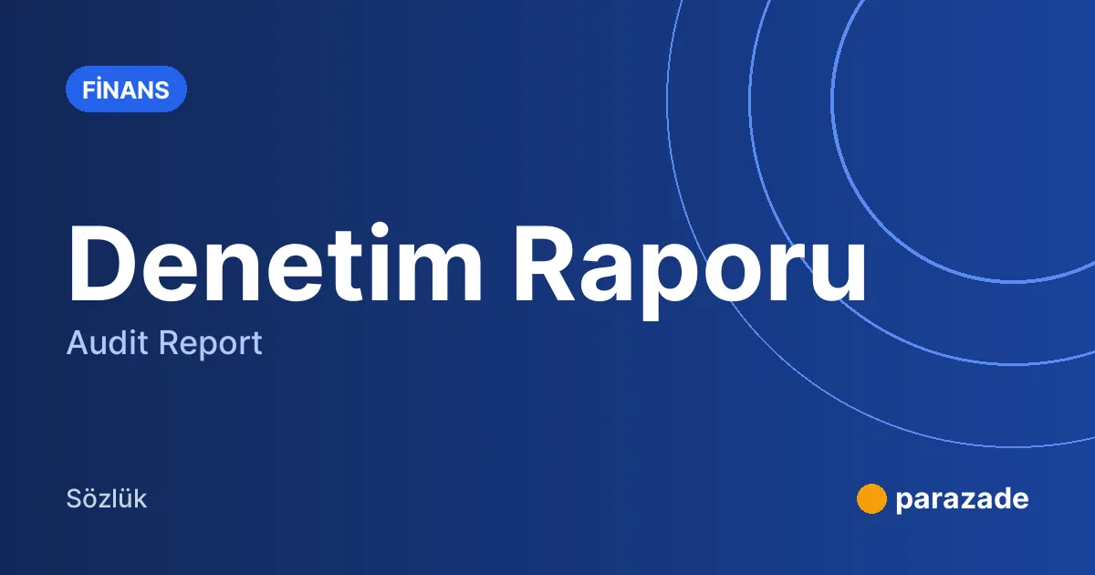 Denetim Raporu nedir?