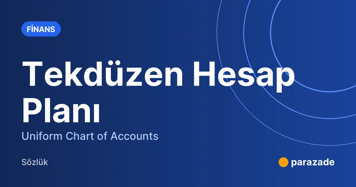 Tekdüzen Hesap Planı nedir?
