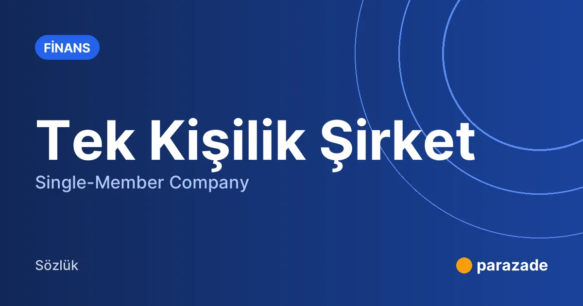Tek Kişilik Şirket nedir?