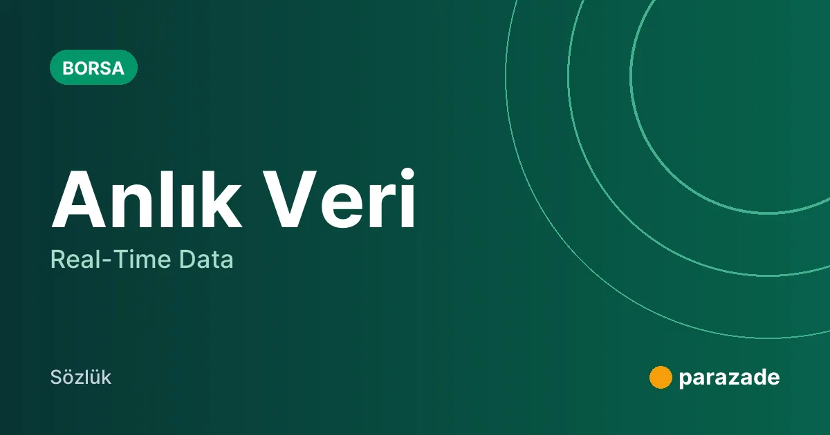 Anlık Veri nedir?