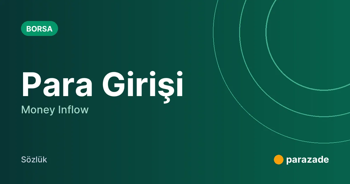 Para Girişi nedir?