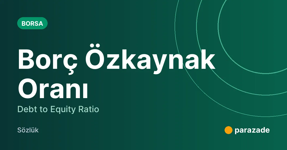 Borç Özkaynak Oranı nedir?