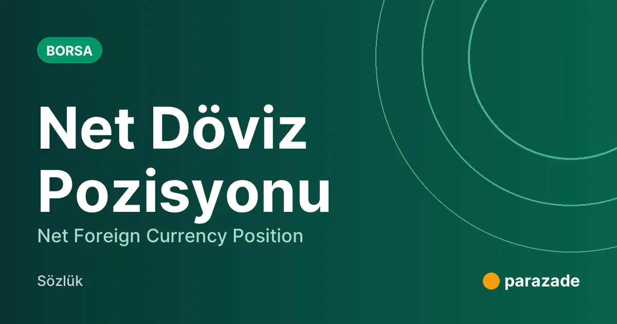 Net Döviz Pozisyonu nedir?