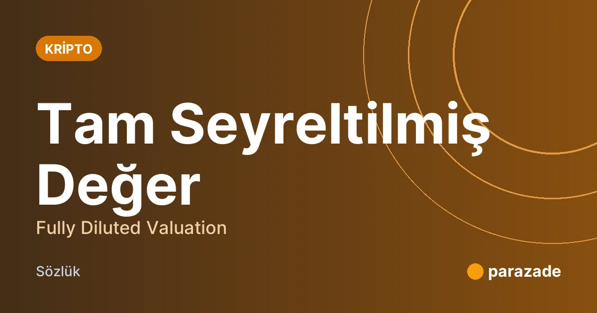 Tam Seyreltilmiş Değer nedir?