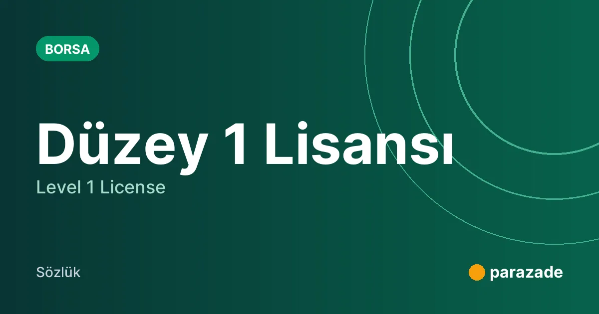 Düzey 1 Lisansı nedir?