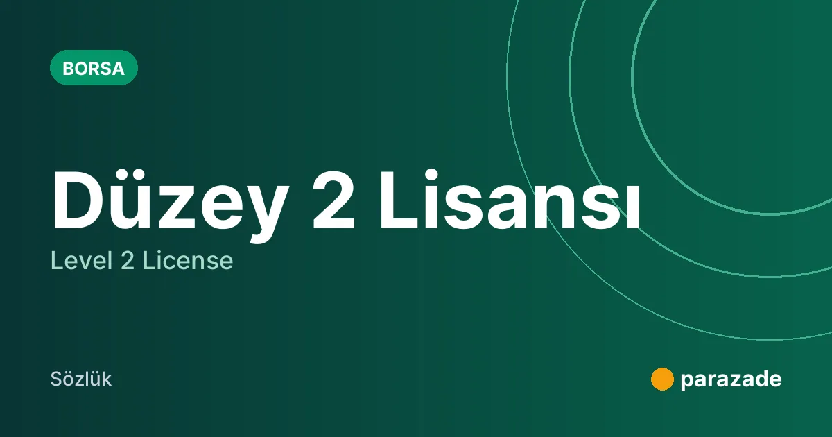 Düzey 2 Lisansı nedir?