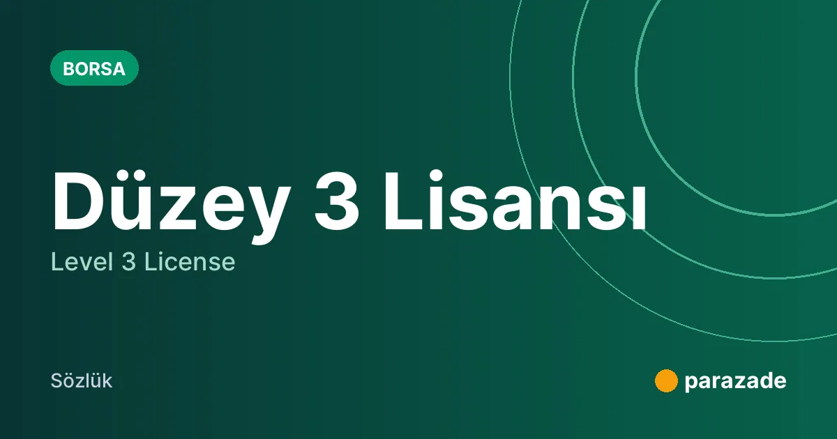 Düzey 3 Lisansı nedir?