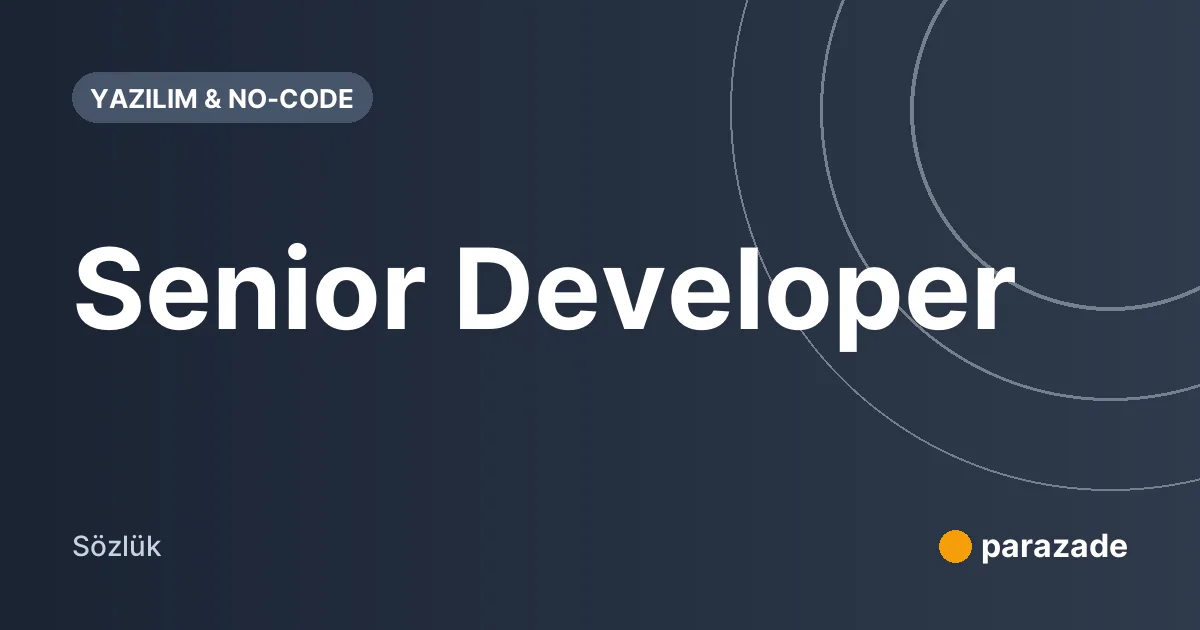 Senior Developer nedir?