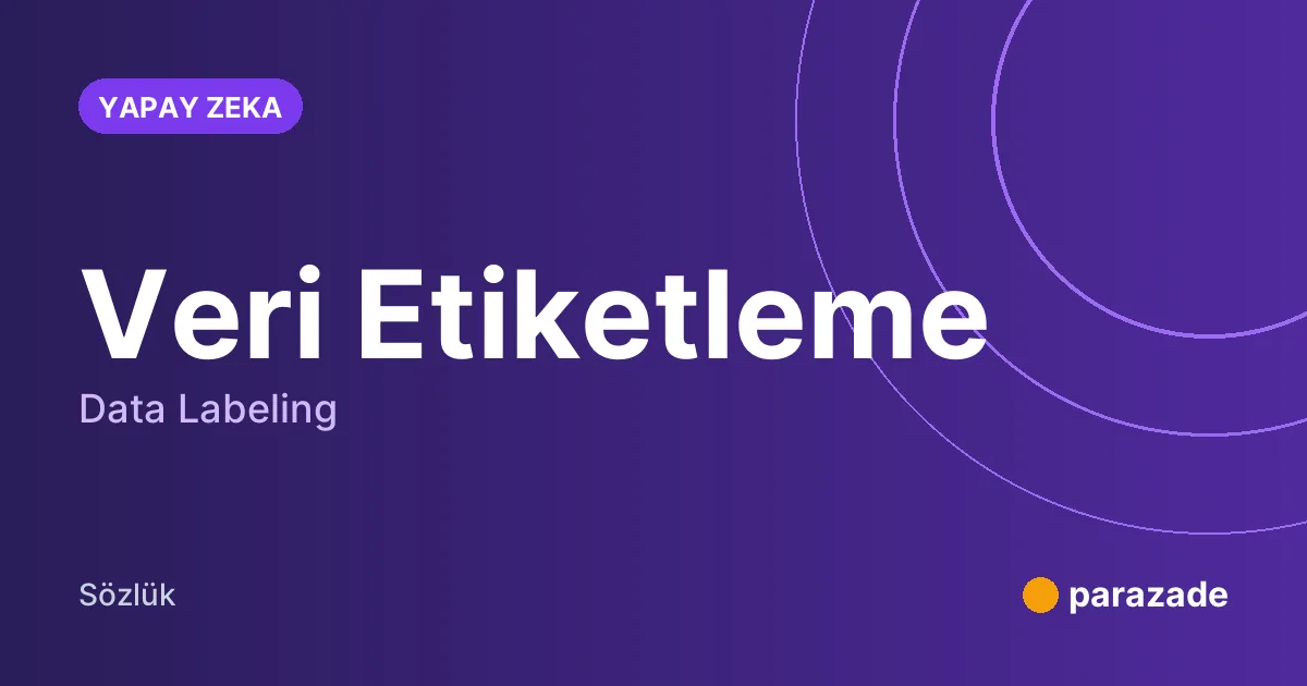 Veri Etiketleme nedir?