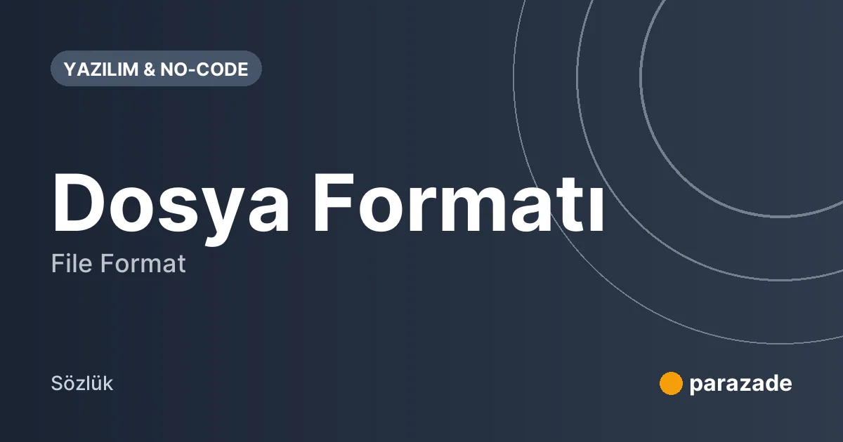 Dosya Formatı nedir?