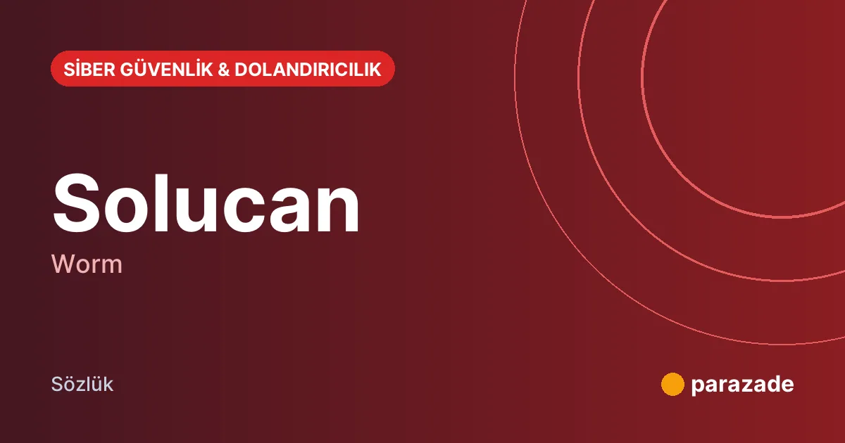 Solucan nedir?