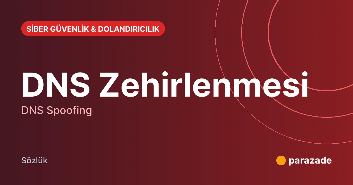 DNS Zehirlenmesi nedir?