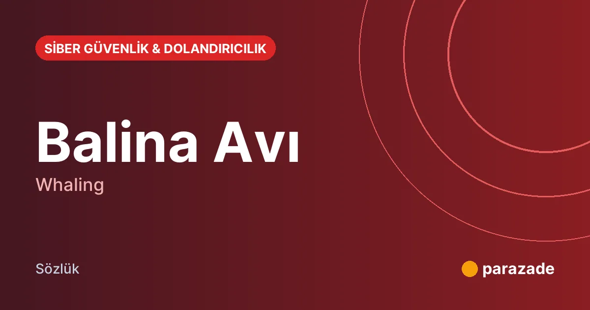 Balina Avı nedir?