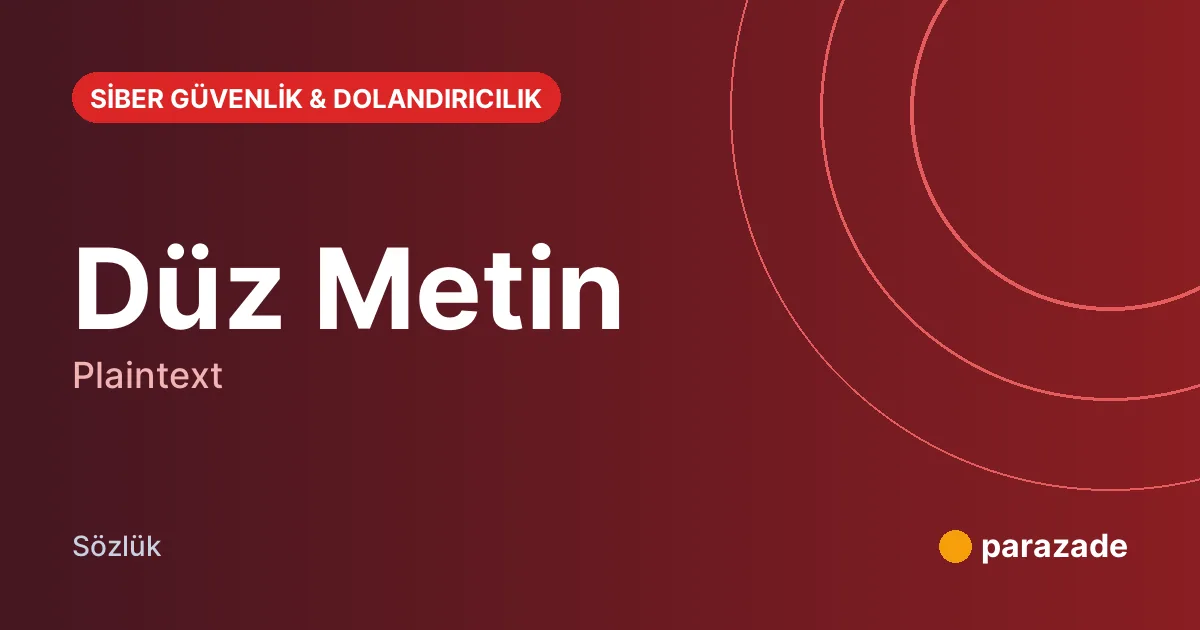 Düz Metin nedir?