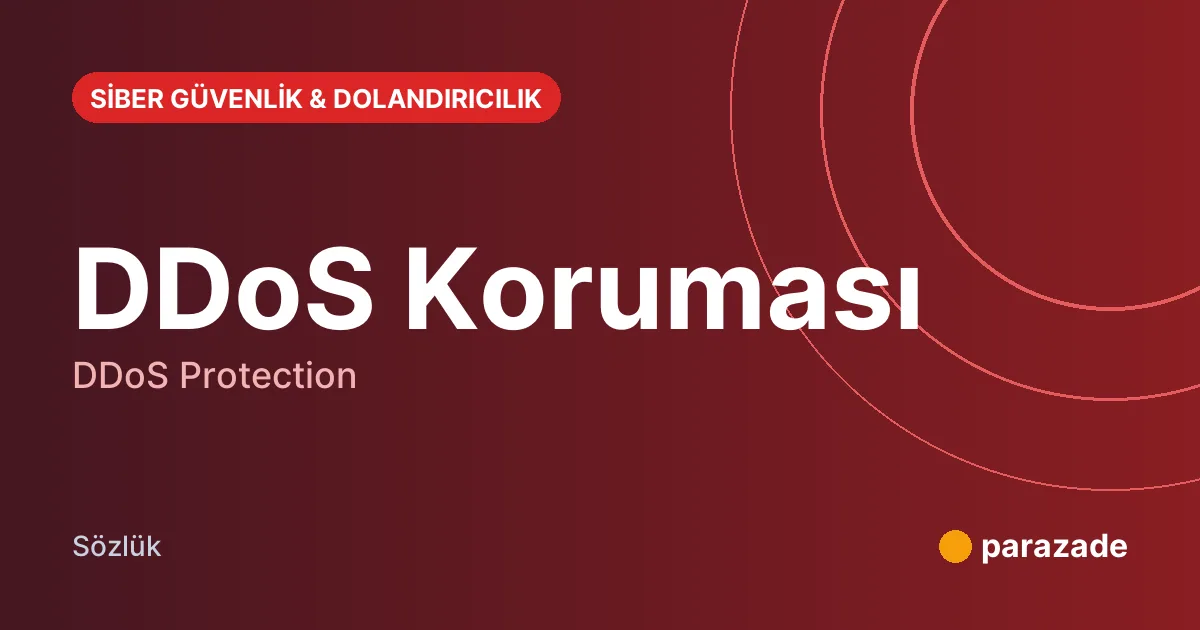 DDoS Koruması nedir?