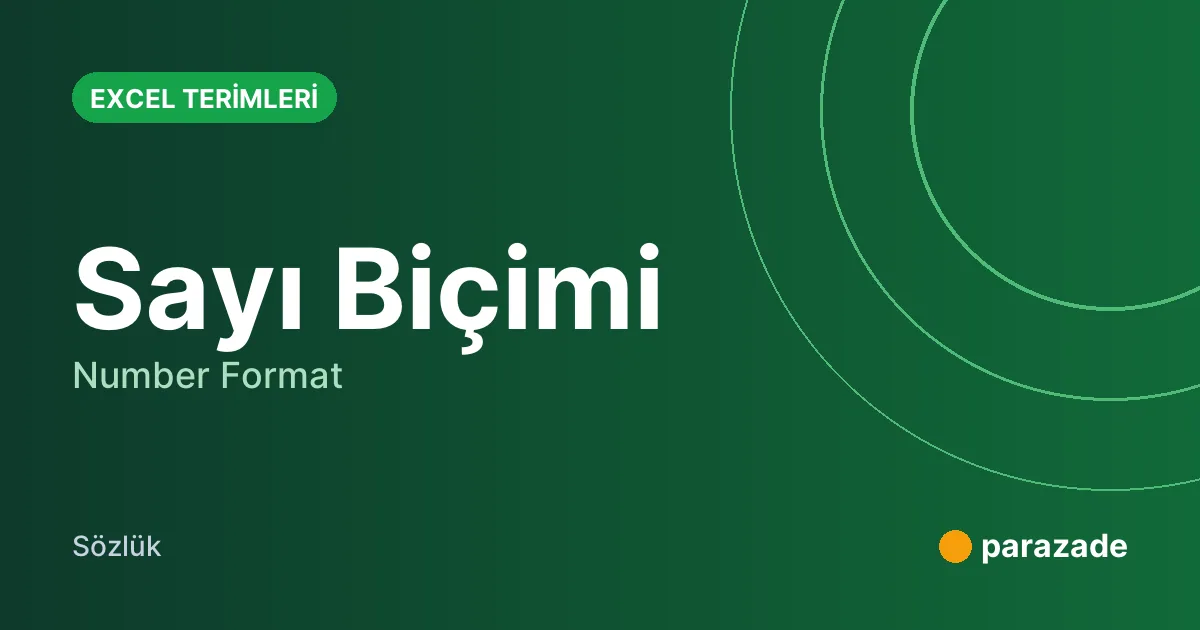 Sayı Biçimi nedir?