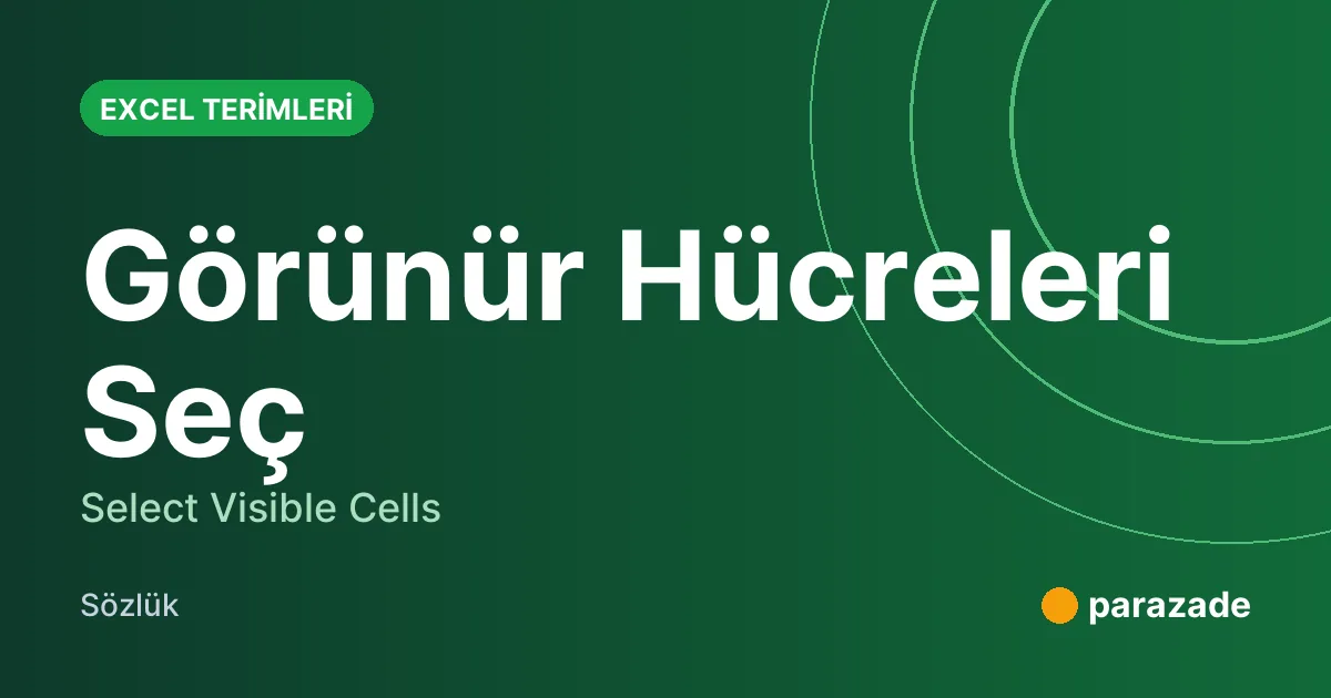 Görünür Hücreleri Seç nedir?