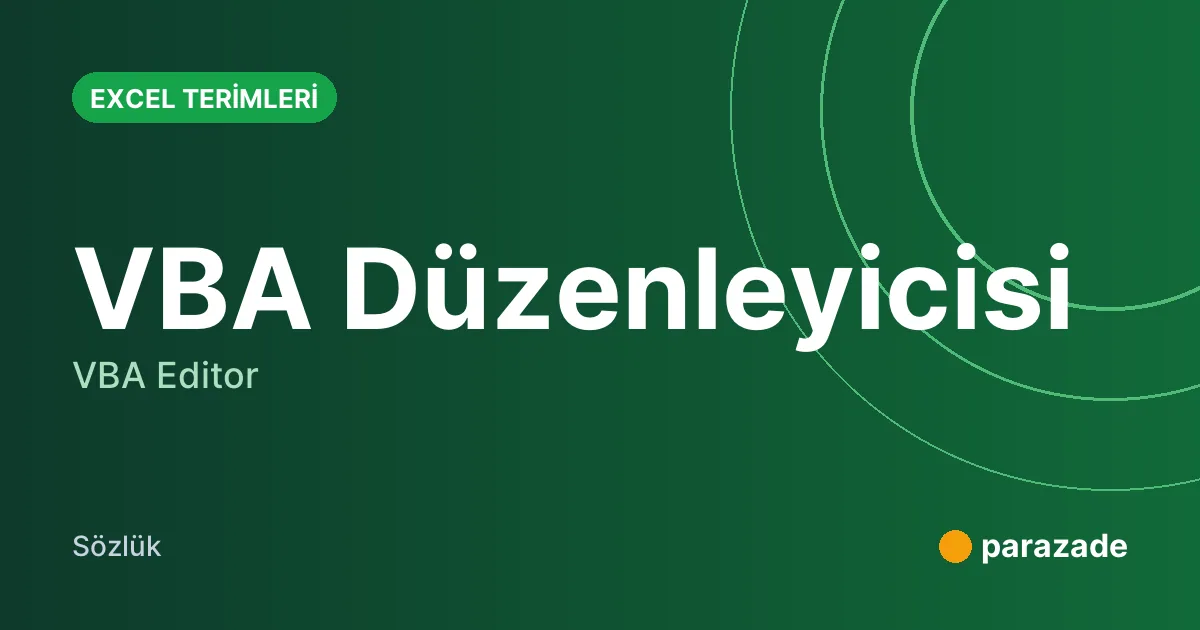 VBA Düzenleyicisi nedir?
