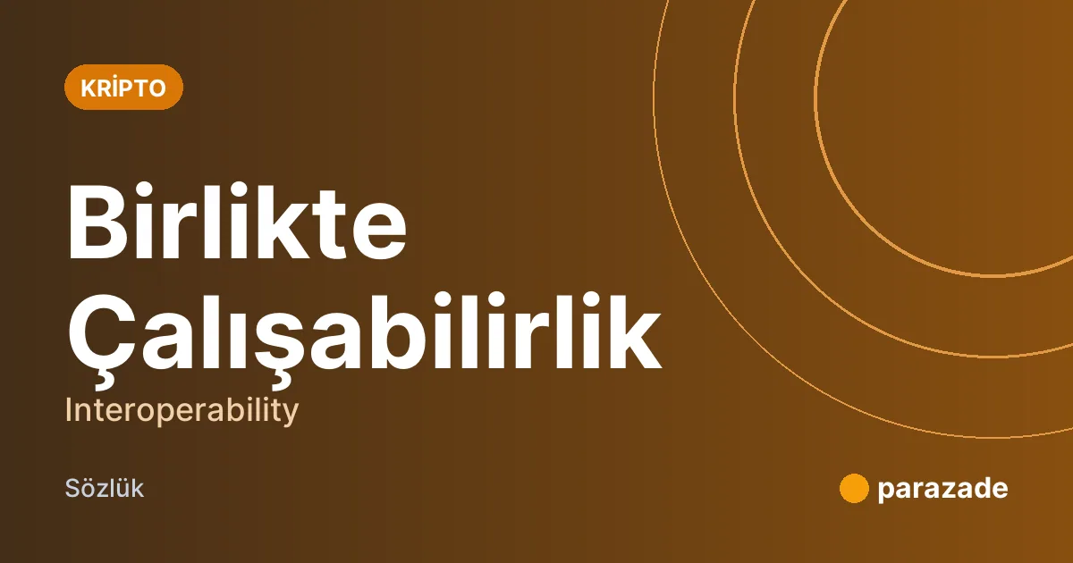 Birlikte Çalışabilirlik nedir?