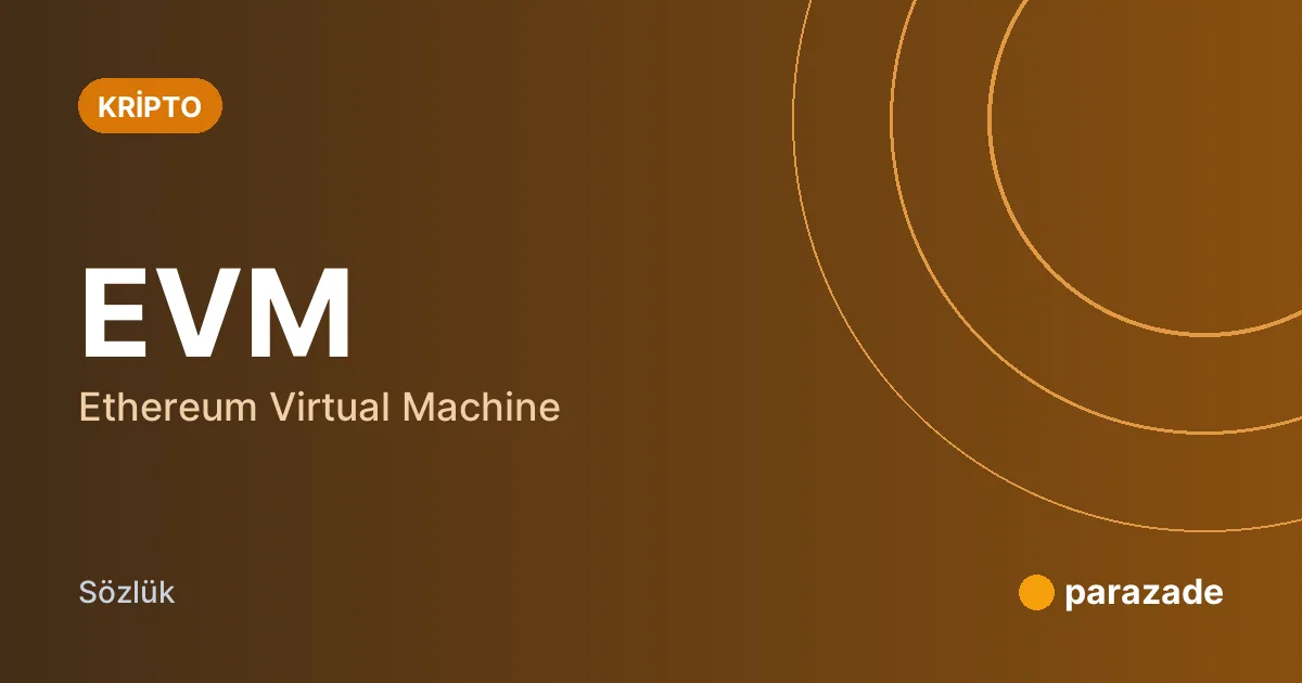 EVM nedir?