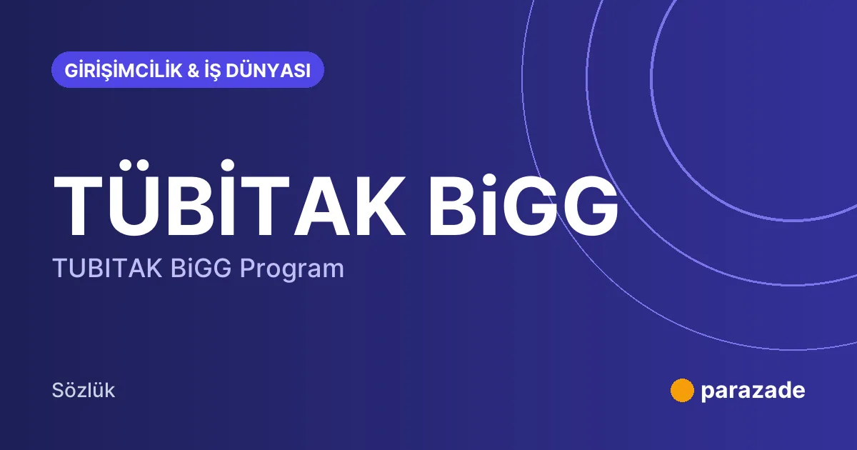 TÜBİTAK BiGG nedir?