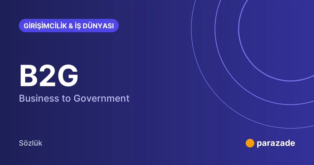 B2G nedir?