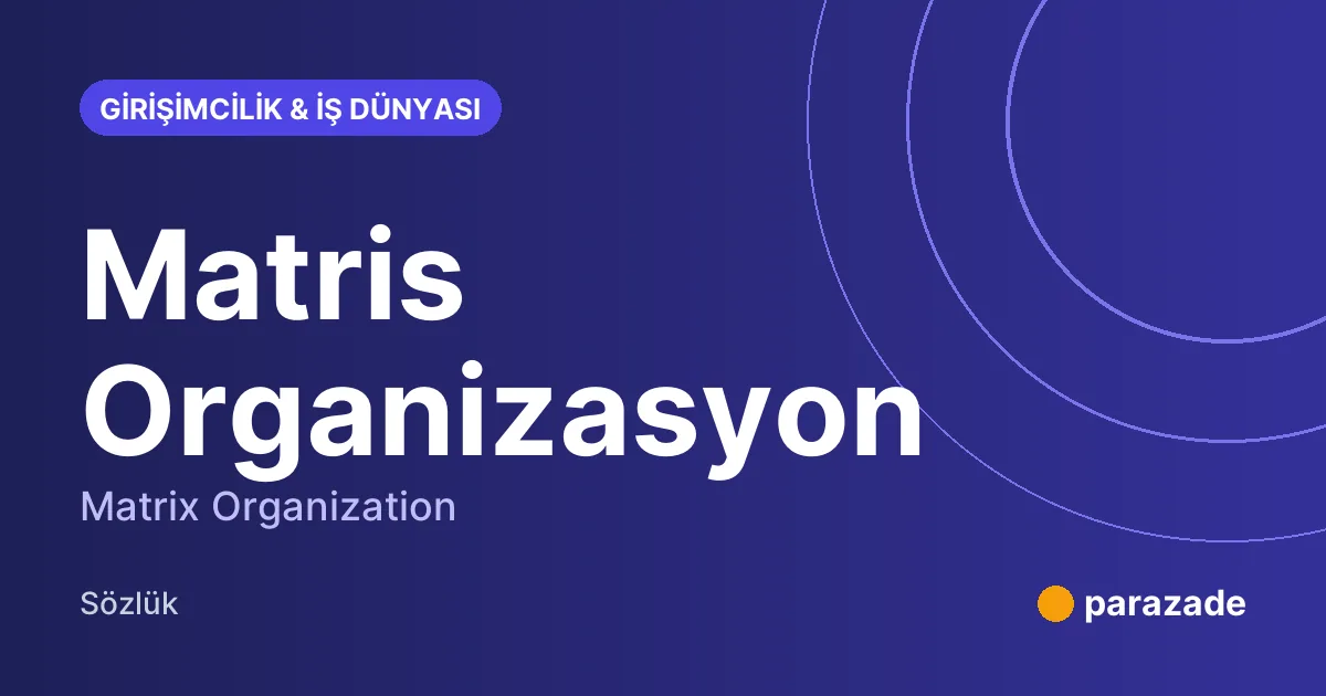 Matris Organizasyon nedir?
