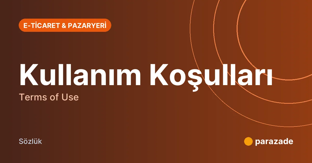 Kullanım Koşulları nedir?