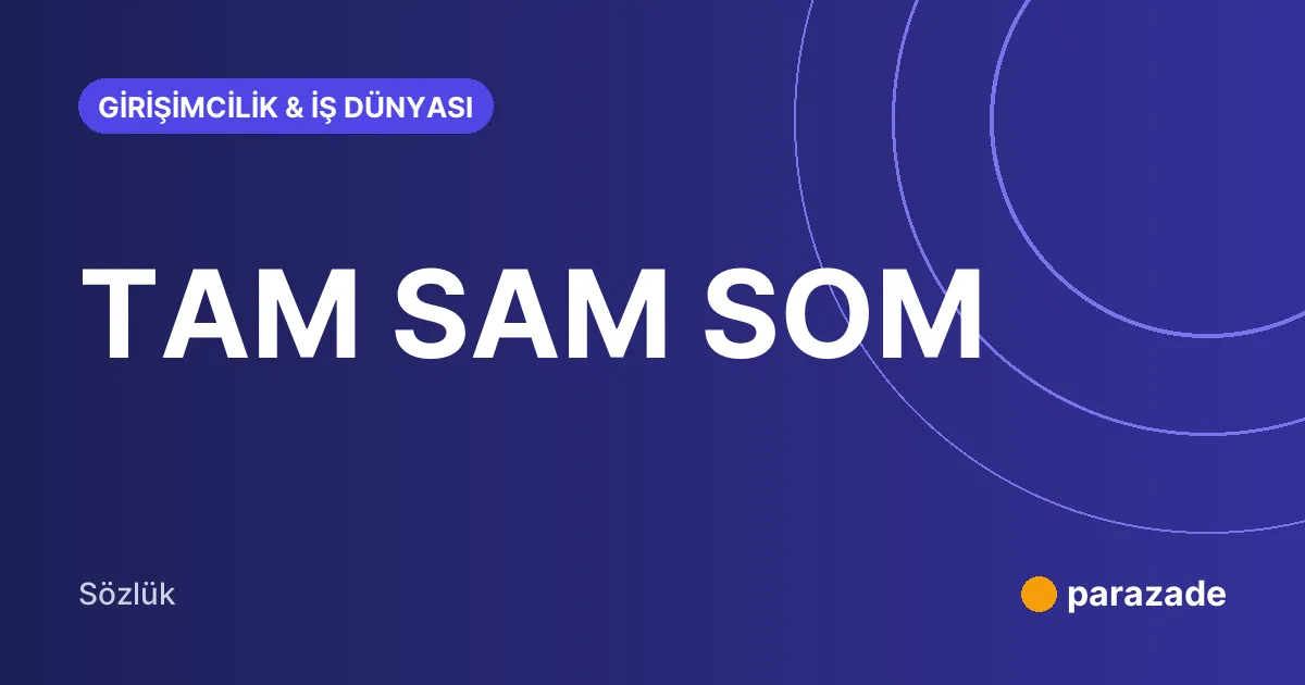 TAM SAM SOM nedir?