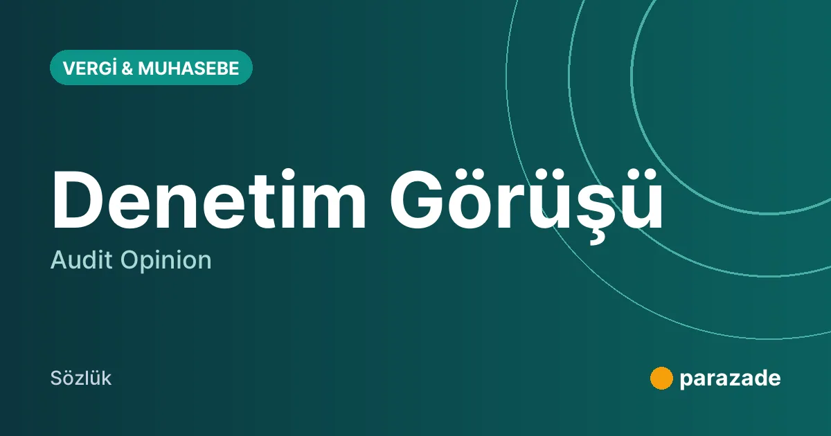Denetim Görüşü nedir?