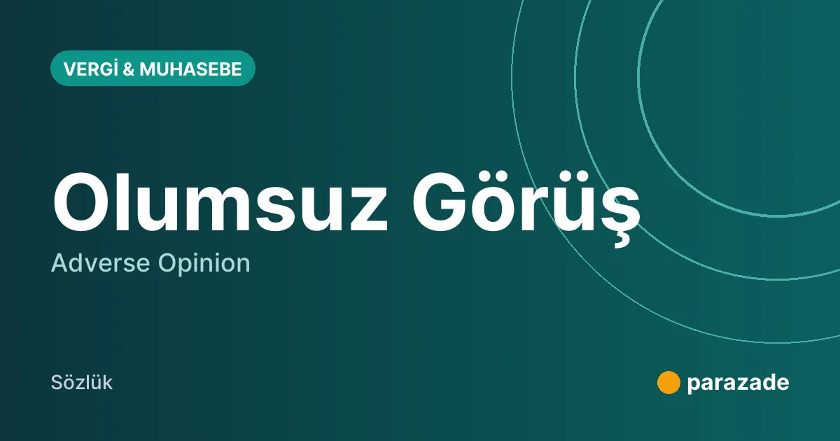 Olumsuz Görüş nedir?