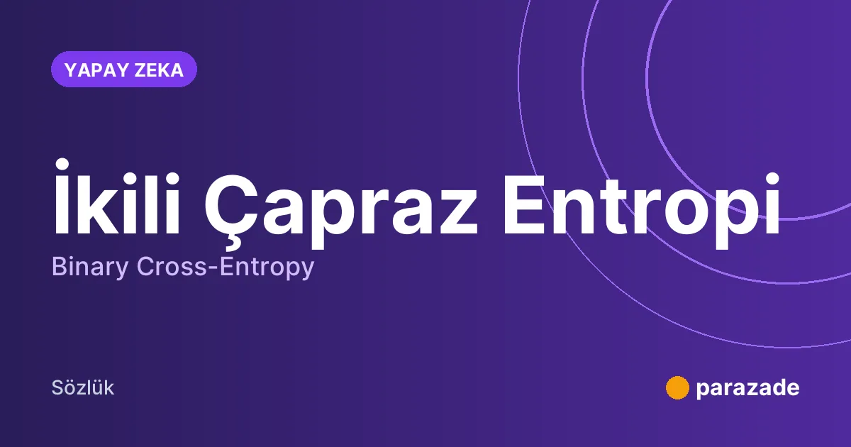 İkili Çapraz Entropi nedir?