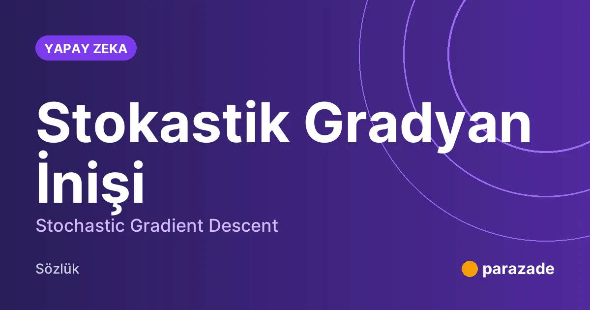 Stokastik Gradyan İnişi nedir?
